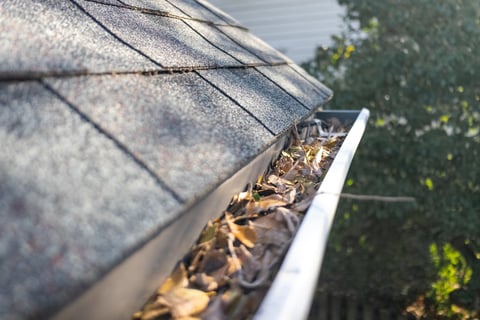 Clogged gutters before cleaning
